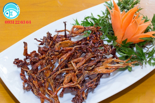 khô nhái giá tốt