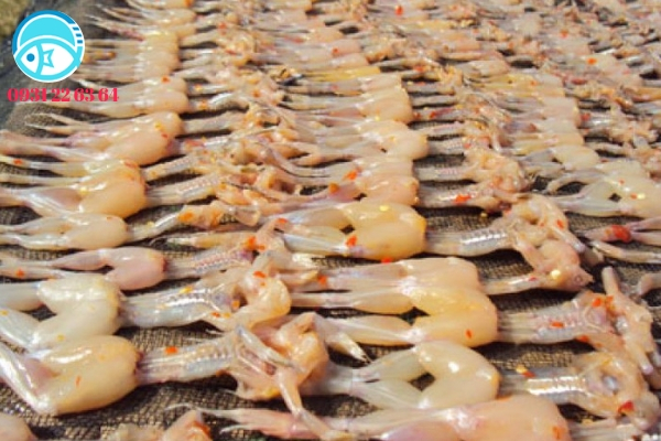 Khô Nhái Miền Tây